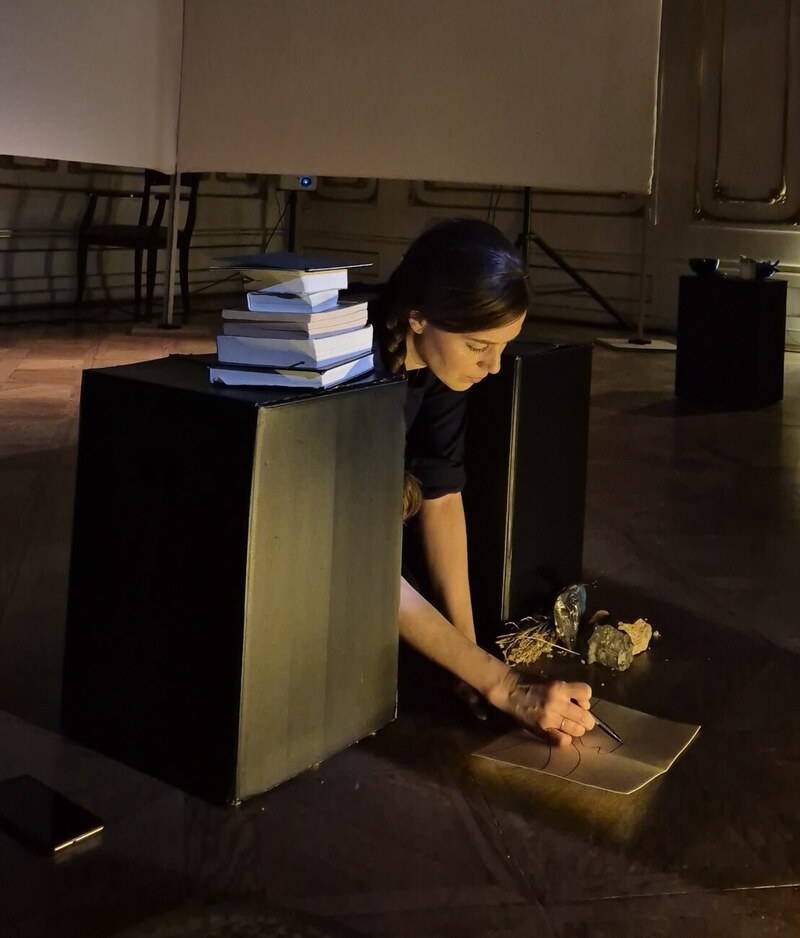 Performance, Budapest, March 2026.